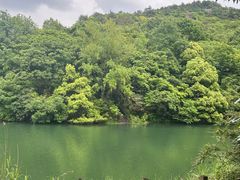 -白马涧龙池景区