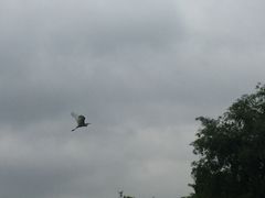 -贵阳市花溪国家城市湿地公园