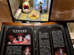 -雪灵魔法世界SHELLY’S TAROT(大良桂畔里店)
