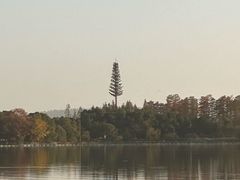 -东湖落雁景区