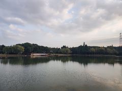-新洲生态园