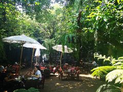 -Fern Forest Cafe