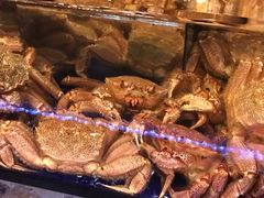 -蟹道乐(道顿堀本店)