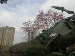 -晓港公园