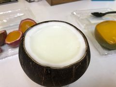 -志龙皇冠吃货椰子铺