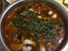 仔乌鱼-美蛙居