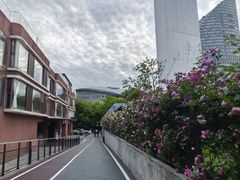 -丹东路渡口(轮渡站)
