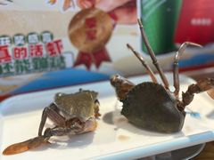 -壹号粥火锅·海鲜煲仔粥(水围店)