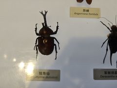 -中国湿地博物馆