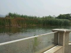 android_upload_pic-云龙湖旅游景区