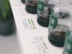 -边渡咖啡烘焙店(昙华林店)