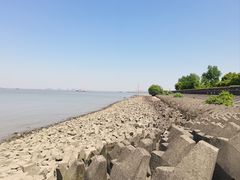 -上海滨江森林公园