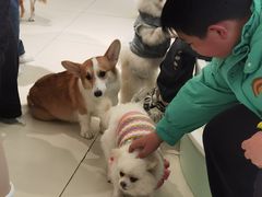 -怪兽屋·羊驼·猫咖·狗咖(俊华广场店)