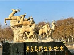 -秦皇岛野生动物园