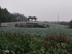 -东湖落雁景区