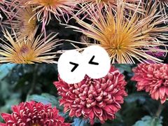 -杭州植物园