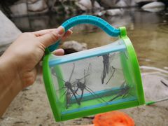 -碓臼峪自然风景区