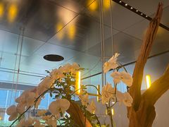 -晶采轩(万象天地店)