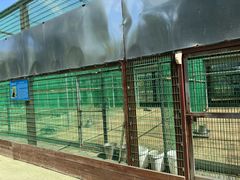 -羊亭河湿地公园