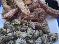 -东江海鲜大排档·潮汕菜·砂锅粥