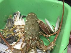 -班赞海鲜市场