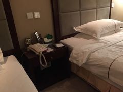 -金水鹤温泉国际酒店