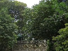 -广州市白云山风景名胜区