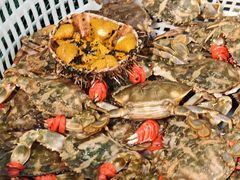 -马栏广场(地铁站)