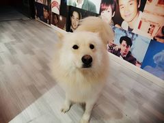 -肆兮眼镜·蔡司·徕卡战略合作店(大坪店)