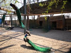 -静之湖湖畔餐厅