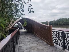 -东寨港红树林旅游区