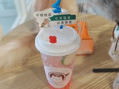 -楼上猫咖(罗湖店)