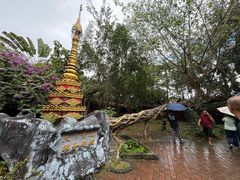 -瑞丽独树成林风景区