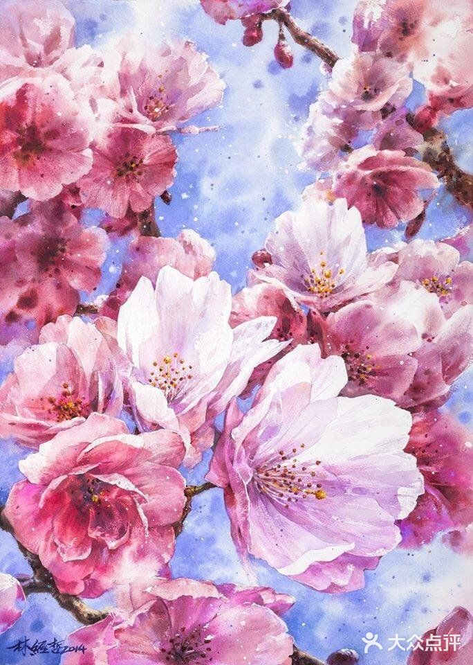 台湾画家林经哲樱花水彩画作品欣赏[礼花][礼花]