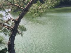 -贵阳市花溪国家城市湿地公园