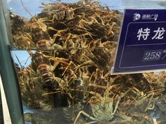 -旺顺阁海鲜广场(亚运村店)