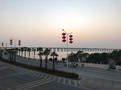 -宝安西湾红树林湿地公园