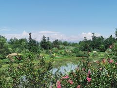 -桤木河湿地公园