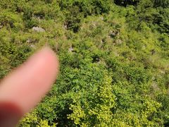 -重庆云阳龙缸景区