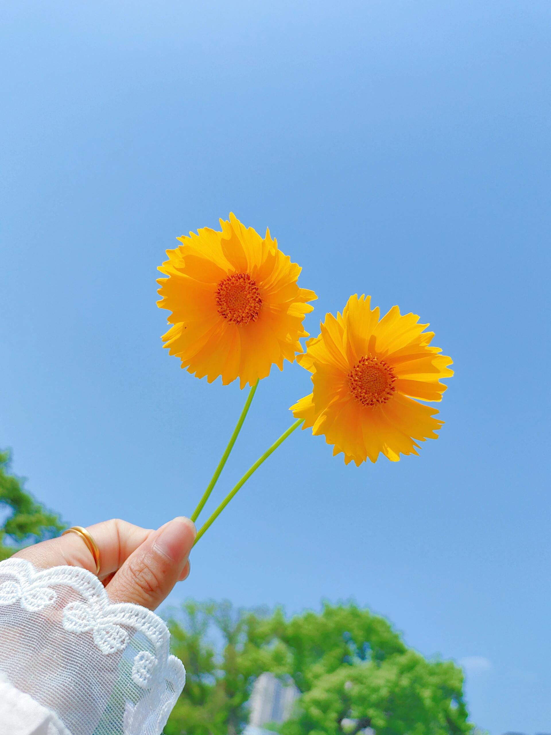 走出阴霾,遇见阳光:我的心理咨询体验