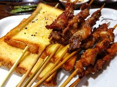 -金刚山烧烤(红旗大街店)