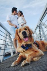 -TANG VISION全球旅拍