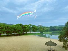 -上海佘山世茂艾美酒店