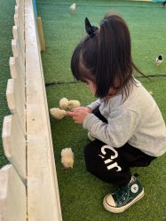 -萌宠亲子动物乐园(槐房万达店)