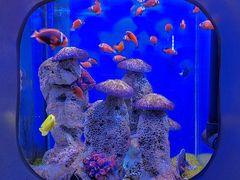 -海合安武汉极地海洋公园