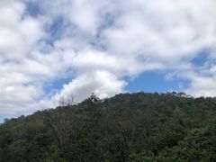 -野象谷景区