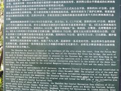 -深圳湾公园-停车场