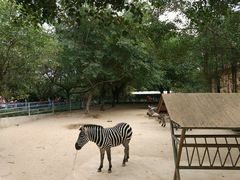 -广东茂名森林公园