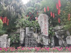 -广州市流溪河国家森林公园