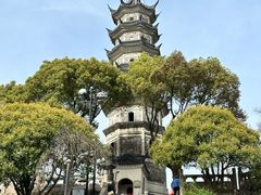 -苏州上方山国家森林公园